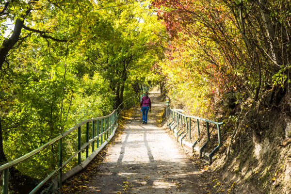 Olivia-kahlenbergdorf-Weg-Okt-15-NEU-1